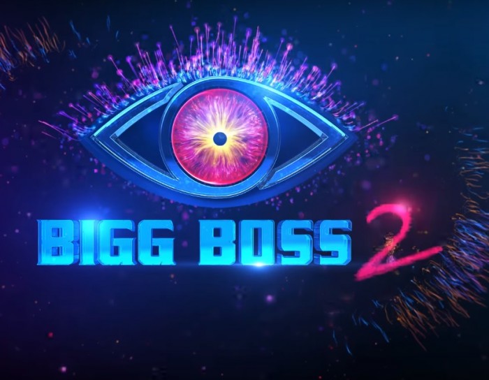 Bigg Boss 2 Telugu a flop show for movies