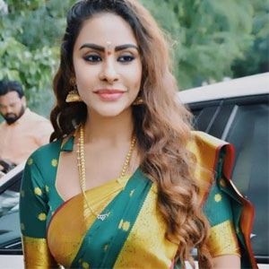 Actress Sri Reddy surprising comments on NTR biopic