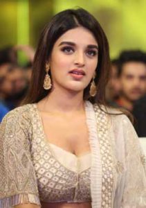 Nidhhi Agerwal sepcial attraction at Mr. Majnu event