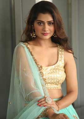Payal rajput ready to romance with old heroes