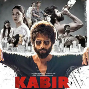 Kabir Singh box office collection Day 24 300cr