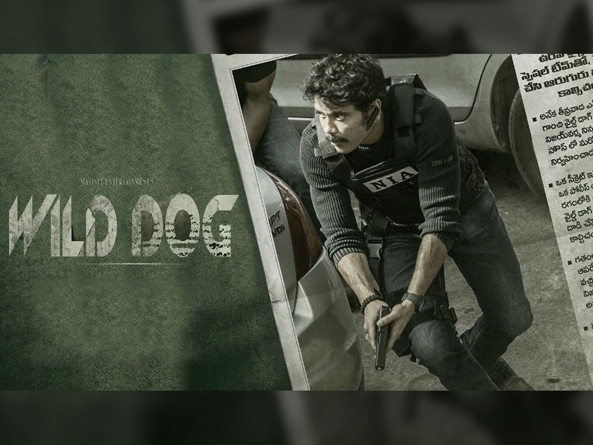 Wild dog teaser ready to release on that day
